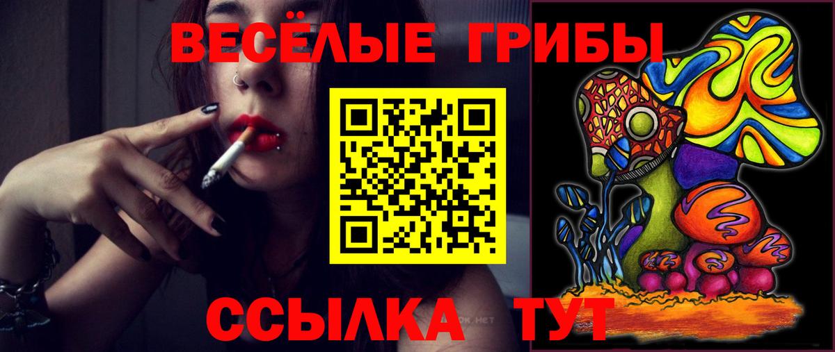 Лабинск  дарнет шоп  Вход с VPN  Псилоцибиновые грибы Psilocybe 